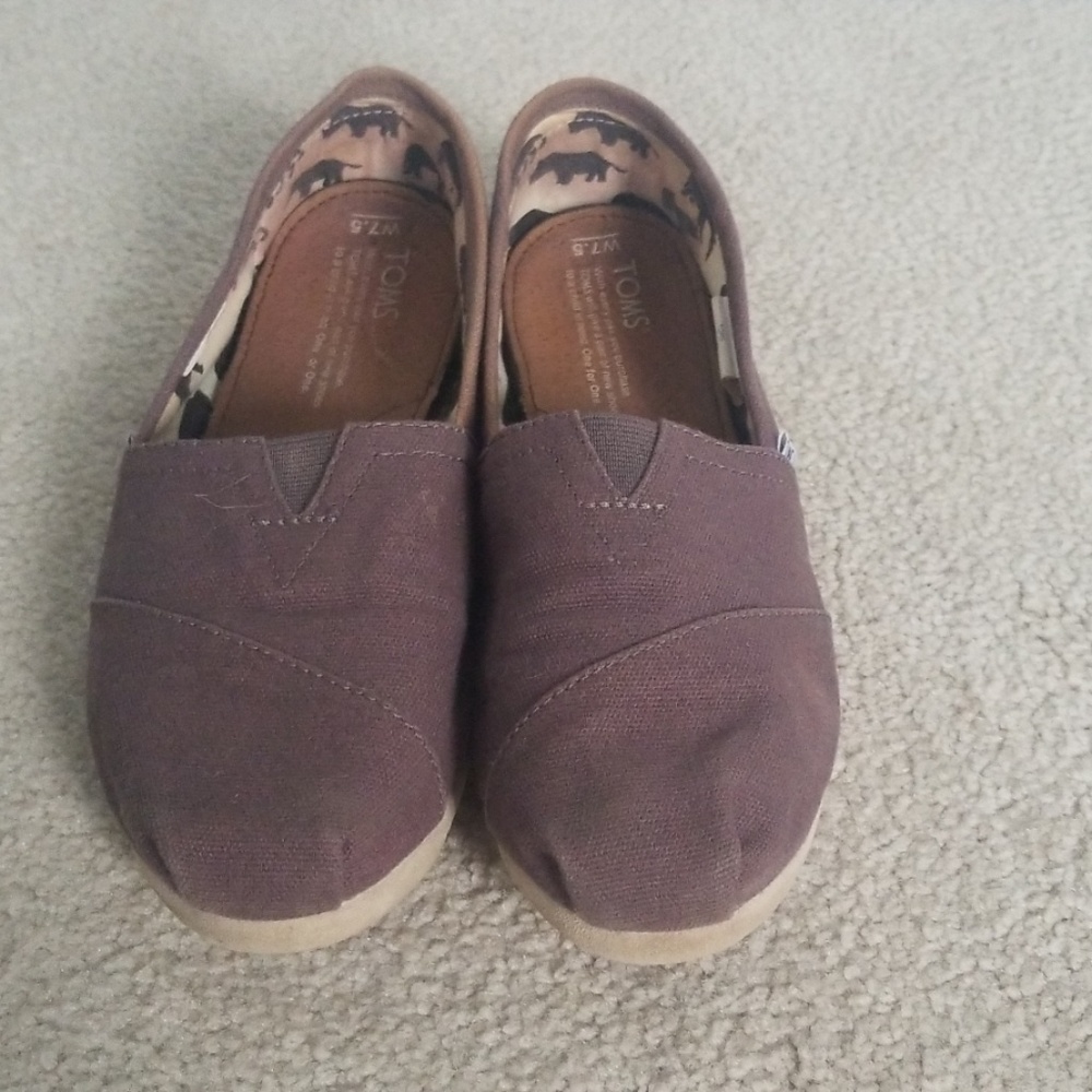 Gray Toms